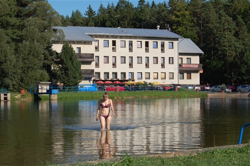 Obrázek v galerii